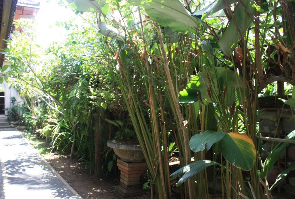 Budi Guest House Ubud Exterior photo